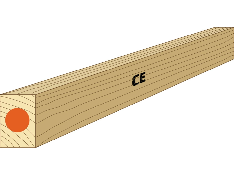 Latte CE Fichte/Tanne S 10 trocken roh 30x50x5000 mm